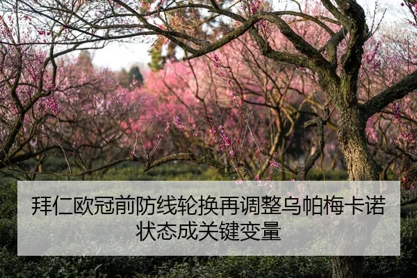拜仁欧冠前防线轮换再调整乌帕梅卡诺状态成关键变量
