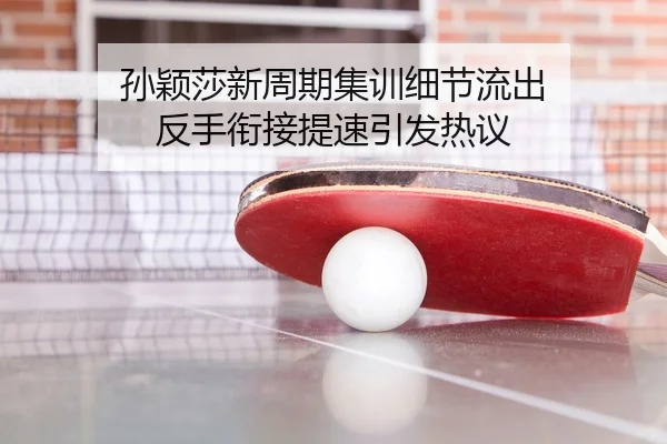 孙颖莎新周期集训细节流出 反手衔接提速引发热议