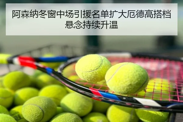 阿森纳冬窗中场引援名单扩大厄德高搭档悬念持续升温
